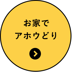 お家でアホウどり